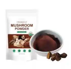 Organic Chaga Mushroom Powder